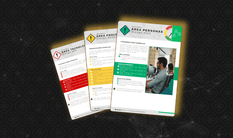 <span>Ejemplos del informe personalizado de resultados del test de ciberseguridad para empresas de Minery Report</span>